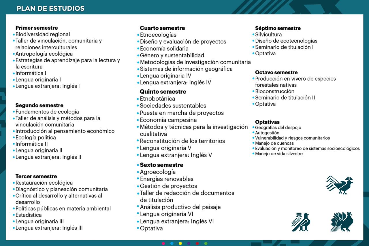 Plan de estudios